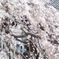 fullsizeoutput_5625