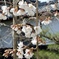fullsizeoutput_5628