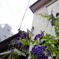 DSC02274