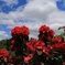 IMG_20170504_150006_014