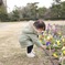 お花、みつけた