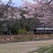 P_20170416_115218_063
