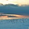 雪原の向こう　№1　北の国から