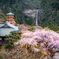 山に訪れた春