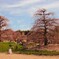 鈴鹿の森庭園