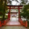 丹生都比売神社 参道より本殿