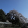 20180325162012_6J0A6981