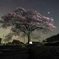星空と一本桜