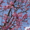 DSCF3280