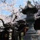 靖国神社（神門）