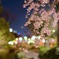 saku04