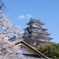 白鷺