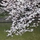 温かい