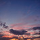 紫の空