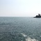 桂浜