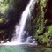 井倉洞のそばの滝