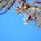 DSCN0859_00001
