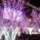 福岡TRIP