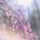 日差しをあびて.