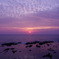 夕陽