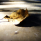 DSCF5386