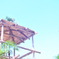 夏の終わり