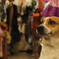 台湾 番犬