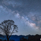One tree and Milky way