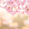 ふわっと