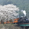 家山川橋梁より