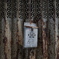P1350591