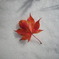 紅葉狩り