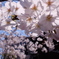 3DBD0261-E3AE-4271-9C22-4C842A92E9DF