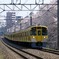 西武鉄道と桜