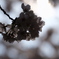 2018_0328_09565600