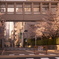 女学院