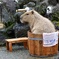 カピバラ温泉１