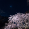 夜明かりに照らされる春のドレス