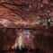 夜桜