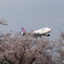 さくらの山 HS-TGA