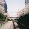 初めてのフィルム