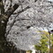 新幹線公園②