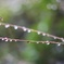 雨上がり