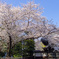 上野公園２