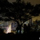 Hong Kong Garden Hill
