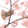 春と鳥と