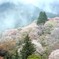 吉野山