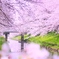 川沿いの非日常