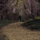 path