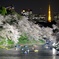 東京の一番